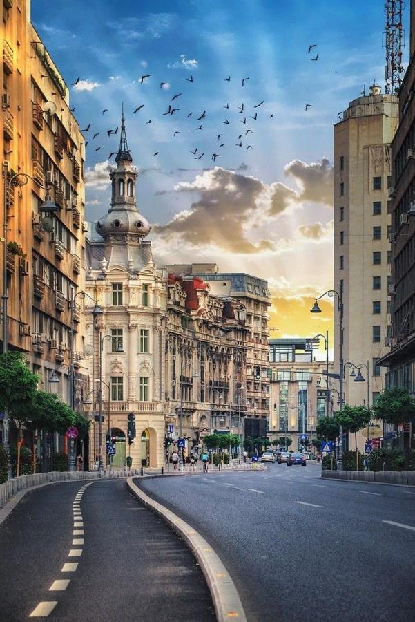 Imob Bibi House Universitate Bukurešť Exteriér fotografie